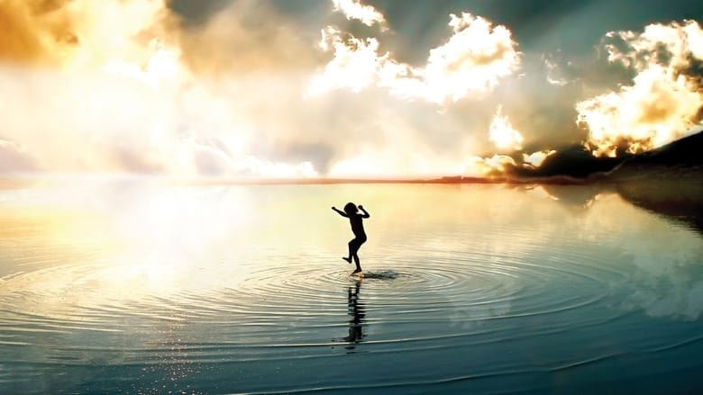 The Human Experience background